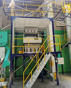 Rice Color sorter in Philippines