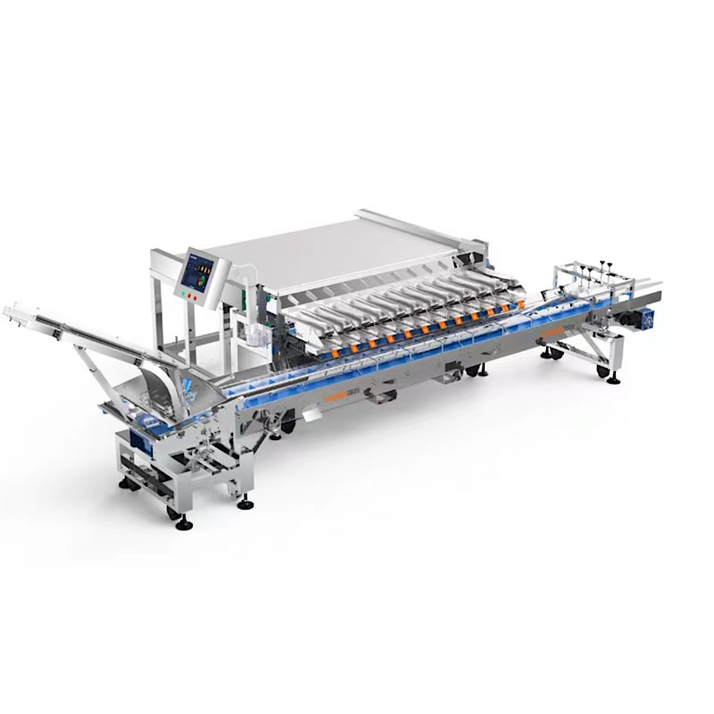 VSEE intelligent blueberry packing and weighing machine